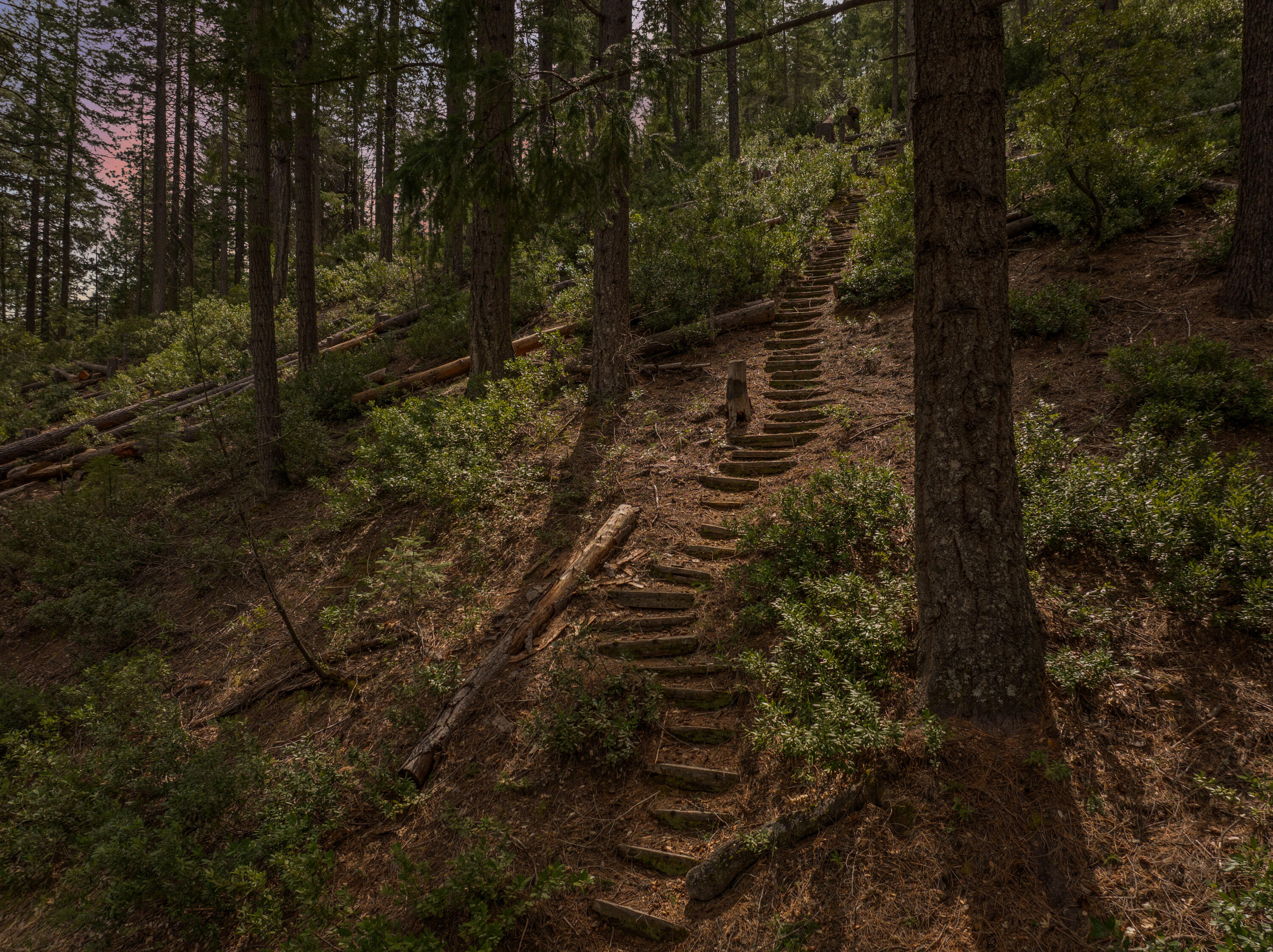 2120 Pack Trail Mount Shasta, CA 96067 - Photo 86 of 92 085_dji_20250412035042_0533_d_506