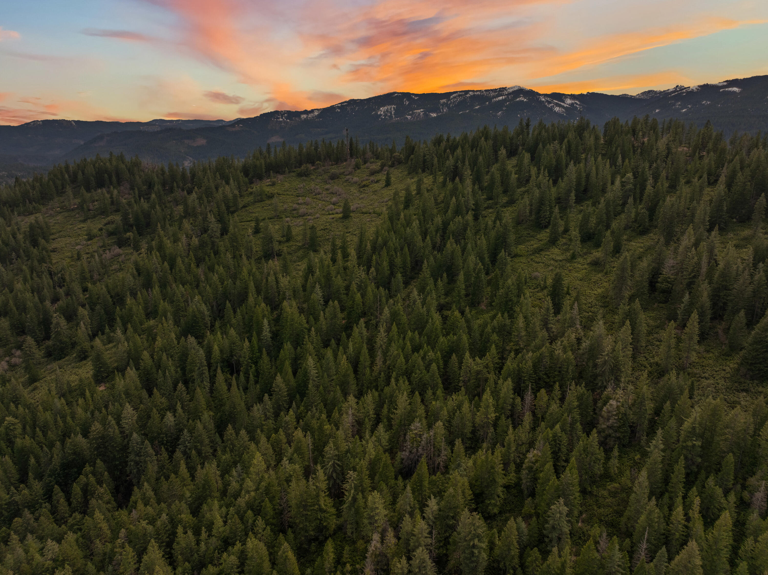 2120 Pack Trail Mount Shasta, CA 96067 - Photo 89 of 92 a view of mountain and grassy field