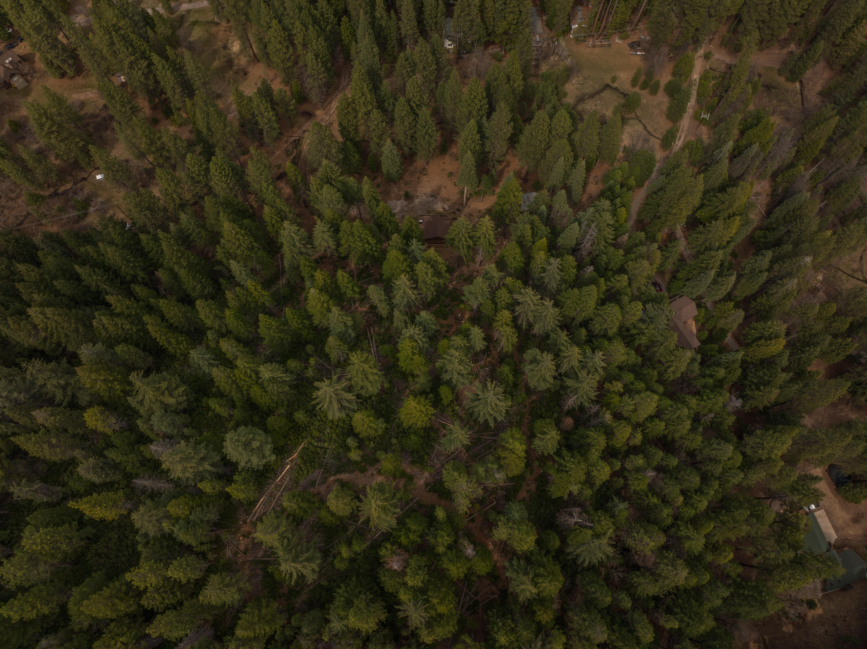 2120 Pack Trail Mount Shasta, CA 96067 - Photo 90 of 92 089_dji_20250412055456_0540_d_818