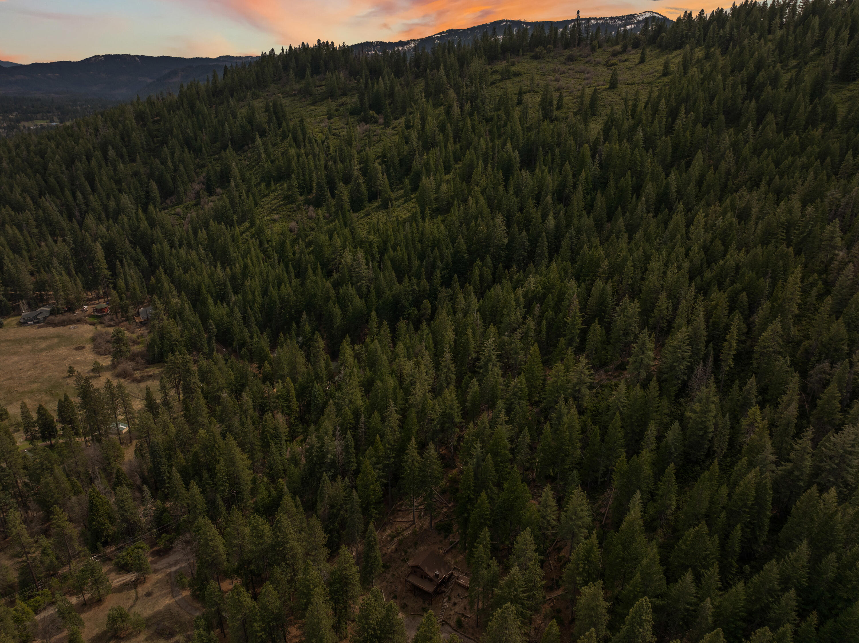 2120 Pack Trail Mount Shasta, CA 96067 - Photo 92 of 92 a view of a lush green forest with a mountain