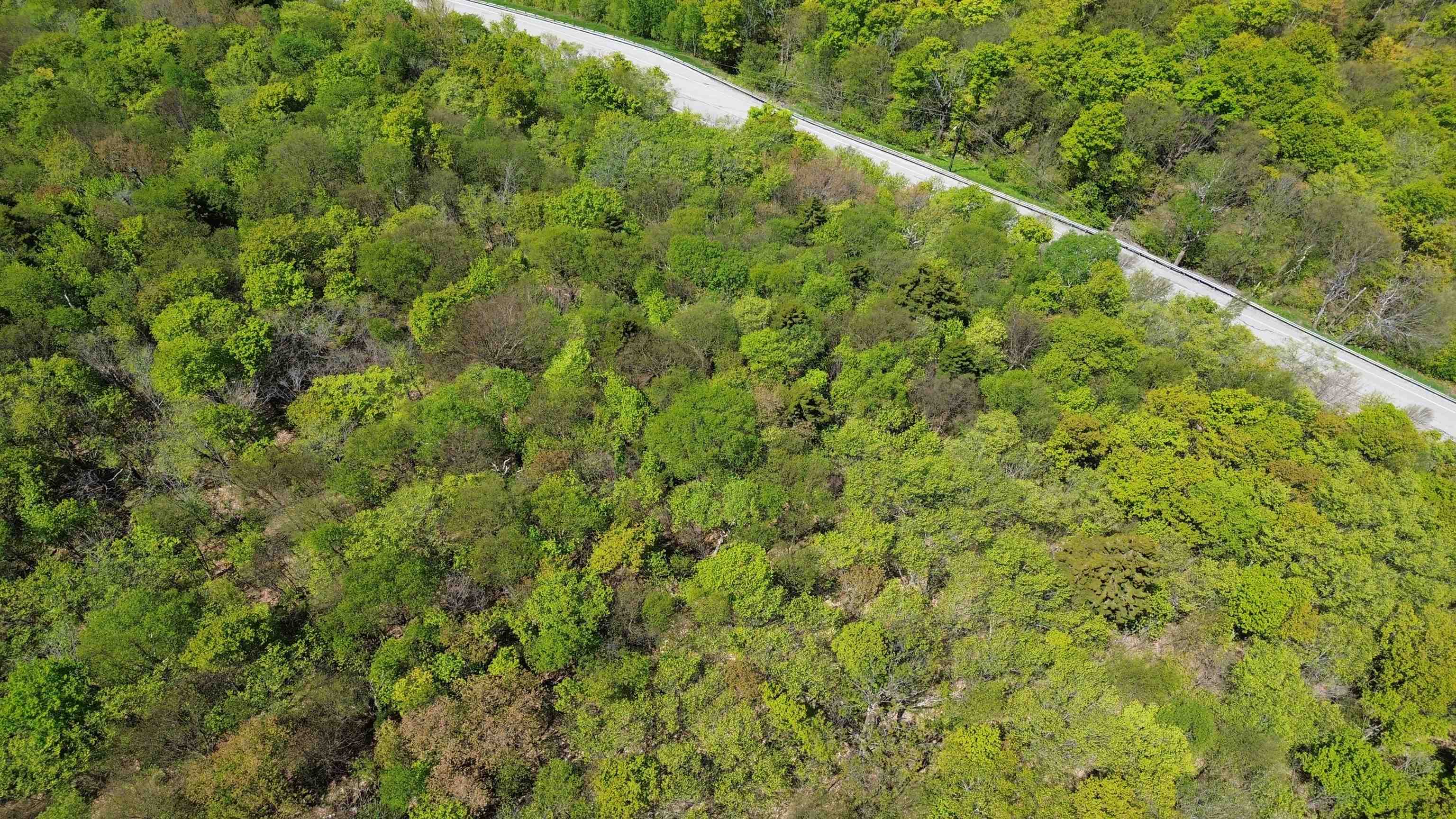2016 Roxbury Mountain Road Warren, VT 05674 - Photo 14 of 18