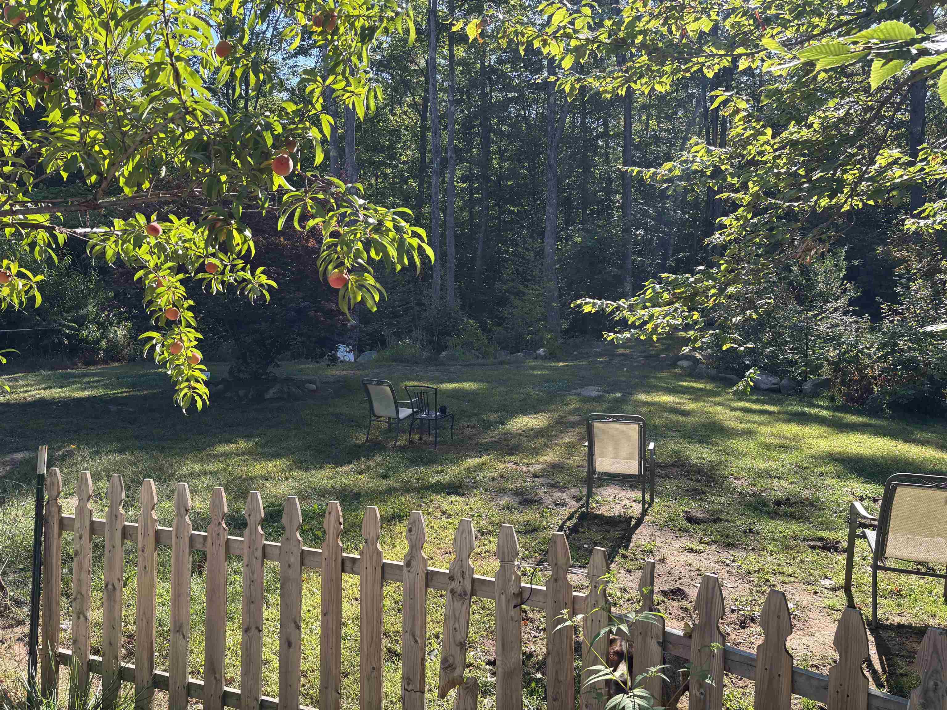368 Ballards Ridge Road Wakefield, NH 03830 - Photo 4 of 20