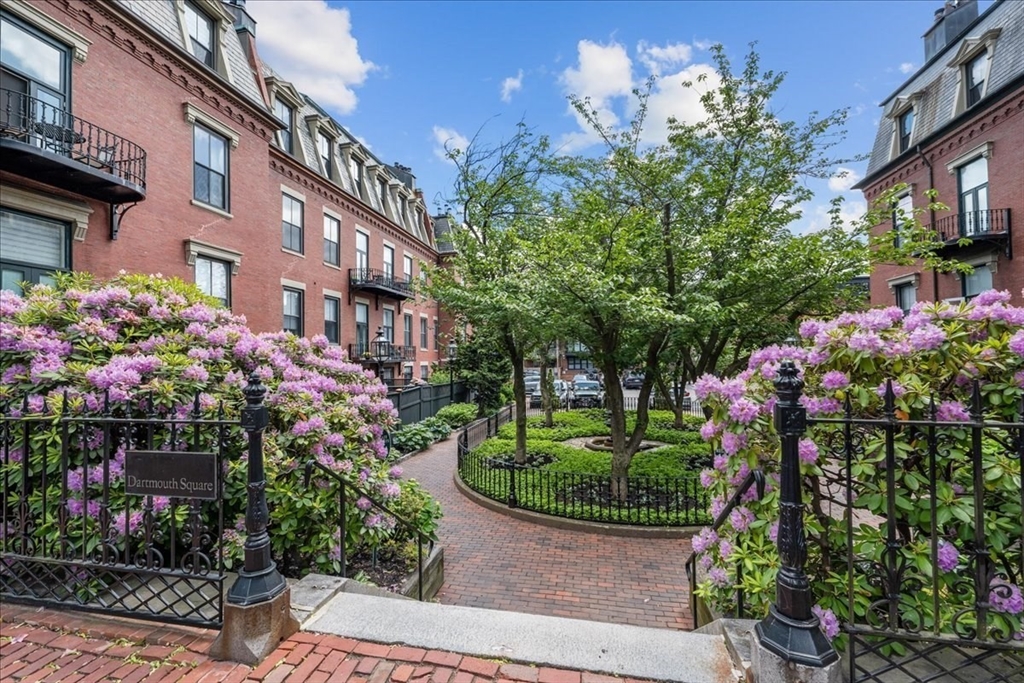 a view of a garden with flowers and flowers