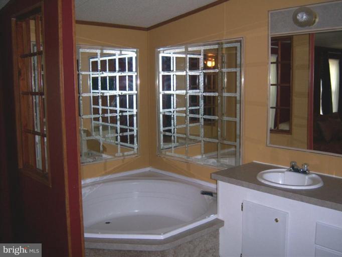7810 Clark Road, Unit D26 Jessup, MD 20794 - Photo 7 of 15 Soaking Tub!