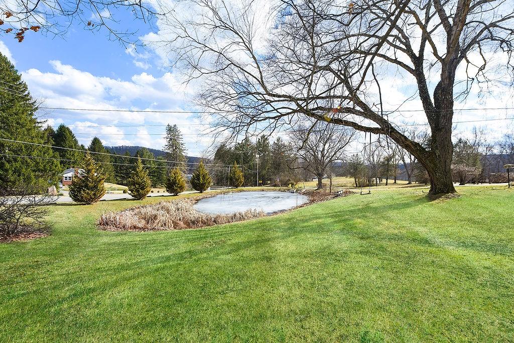 139 Camp Run Road Harmony, PA 16037 - Photo 39 of 41 a view of yard with tree s