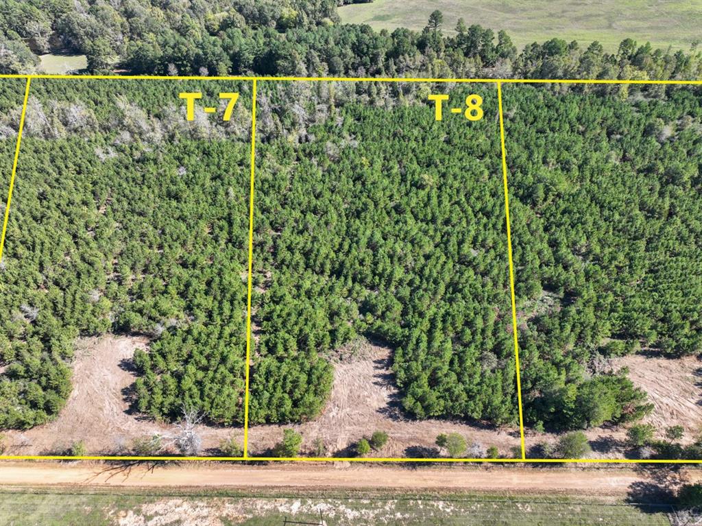 8 County Road 3121 Long Branch, TX 75669 - Photo 2 of 15 a view of a yard with large trees