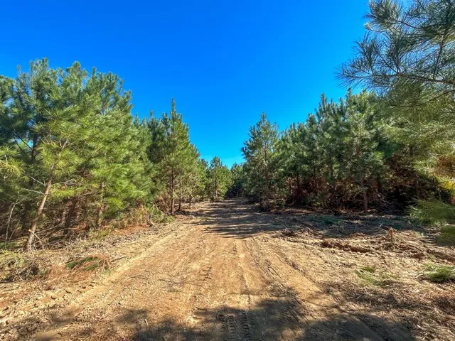 a view of a yard with trees in front of it