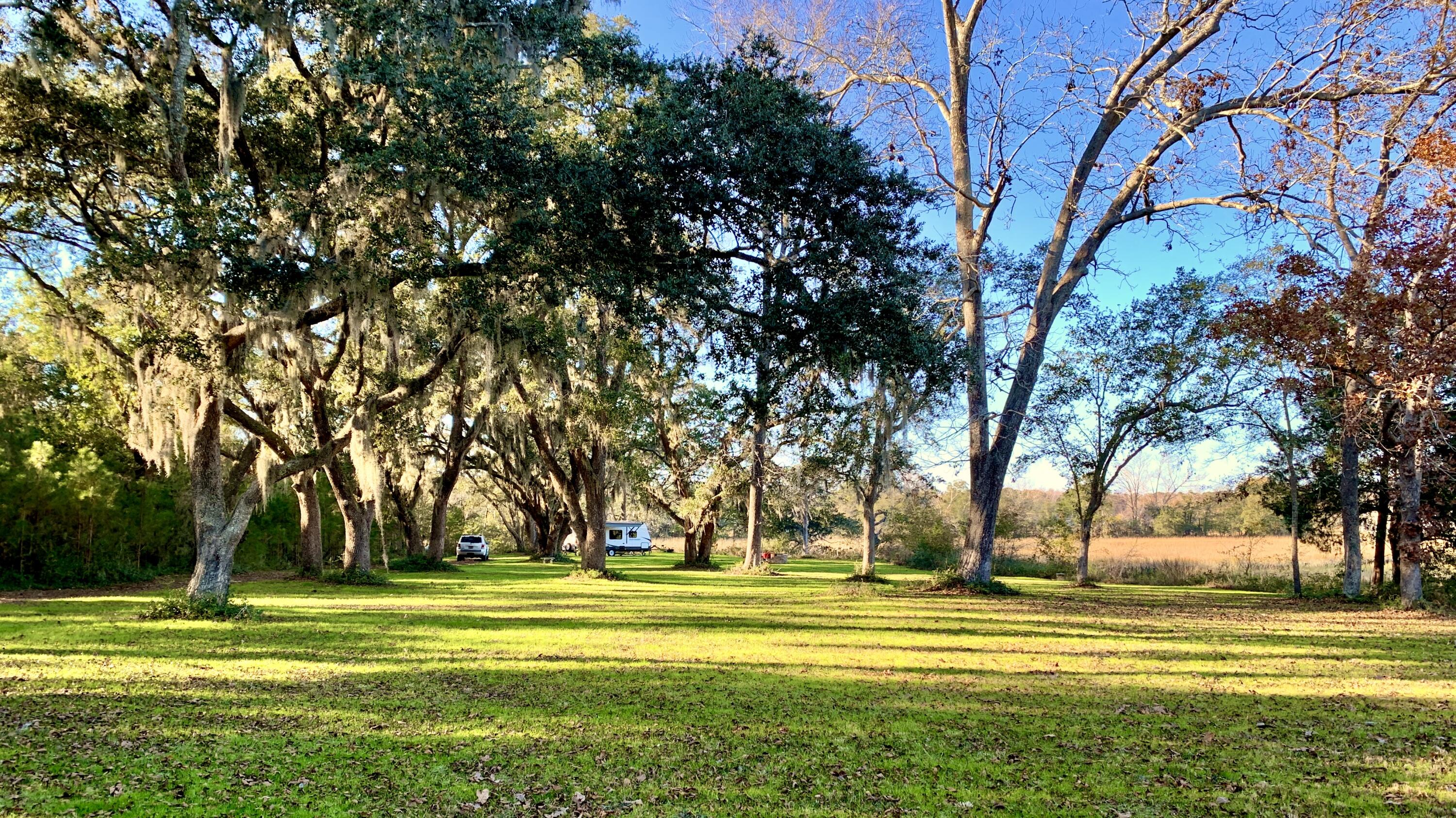 6613 Bloody Point Road Wadmalaw Island, SC 29487 - Photo 2 of 19 13_List 13th