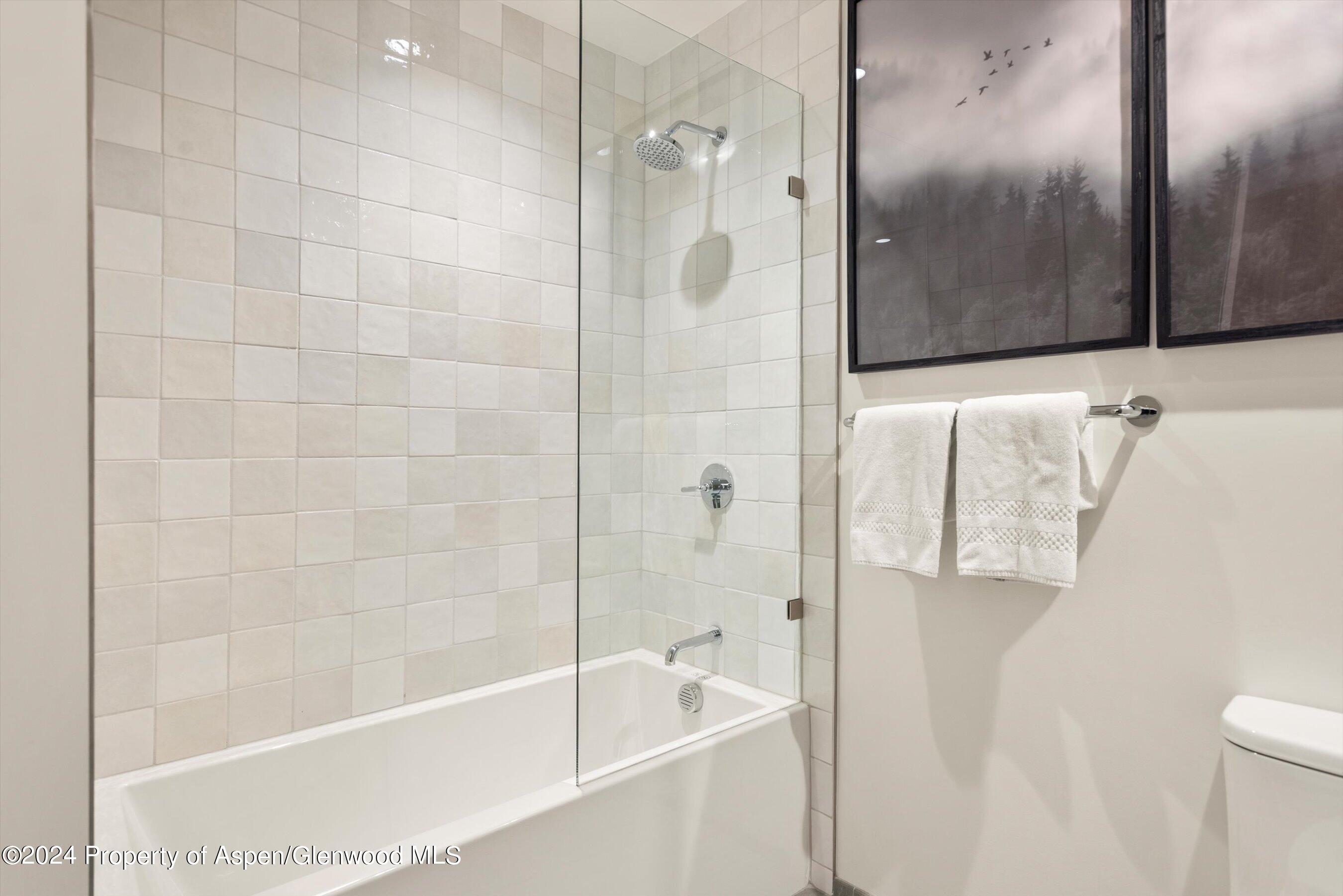 119 Wood Road, Unit 608 Snowmass Village, CO 81615 - Photo 10 of 28 Guest Bathroom