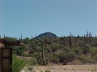 11275 North Roach Wash Road Winkelman, AZ 85192 - Photo 3 of 10
