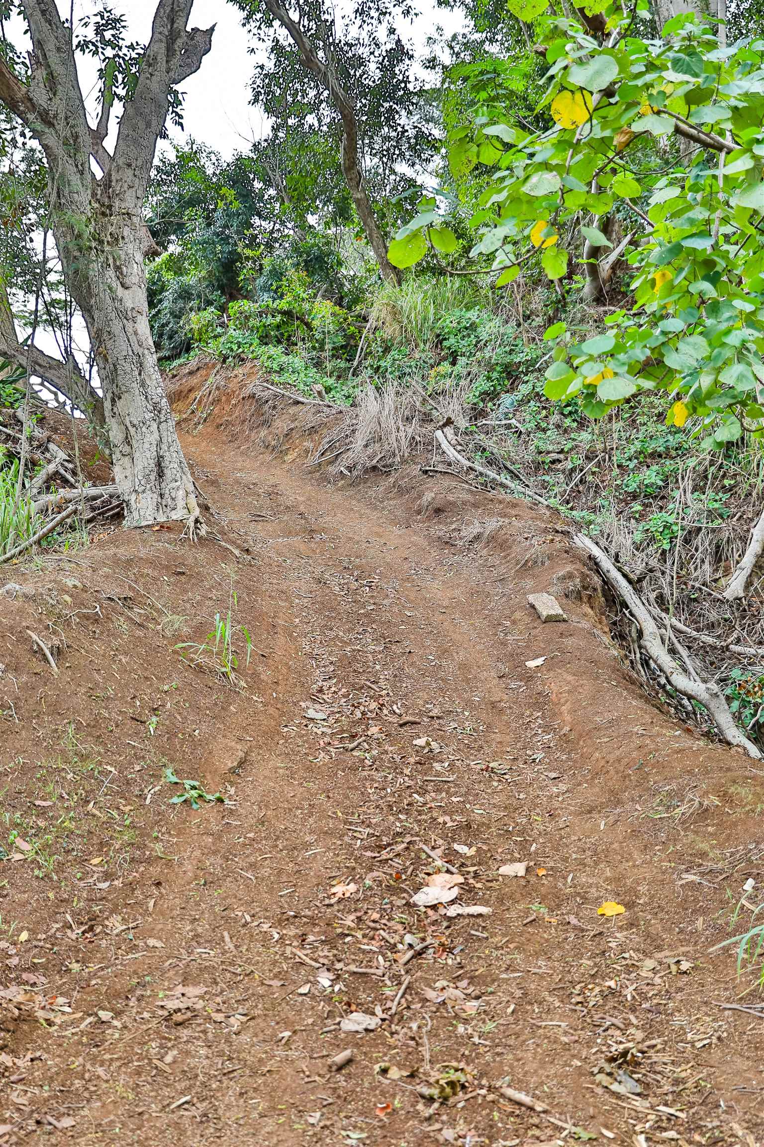 0 Malaihi Road Wailuku, HI 96793 - Photo 16 of 18 a view of a dirt road with trees in the background
