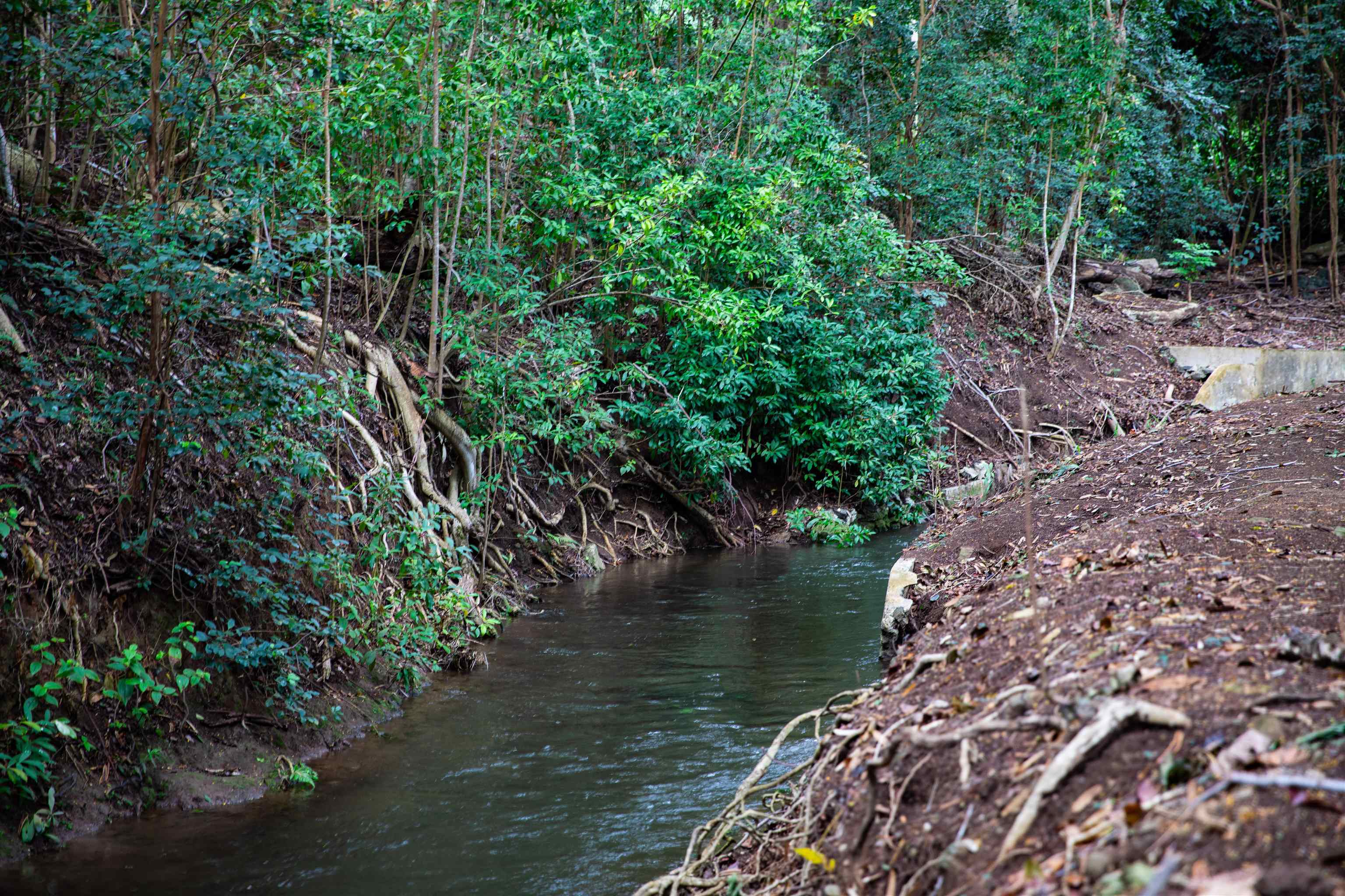0 Malaihi Road Wailuku, HI 96793 - Photo 18 of 18 a view of lake
