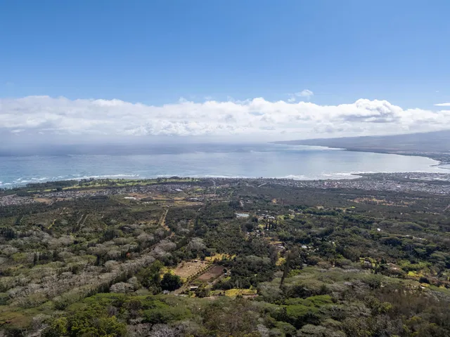 an aerial view of residential house with green space