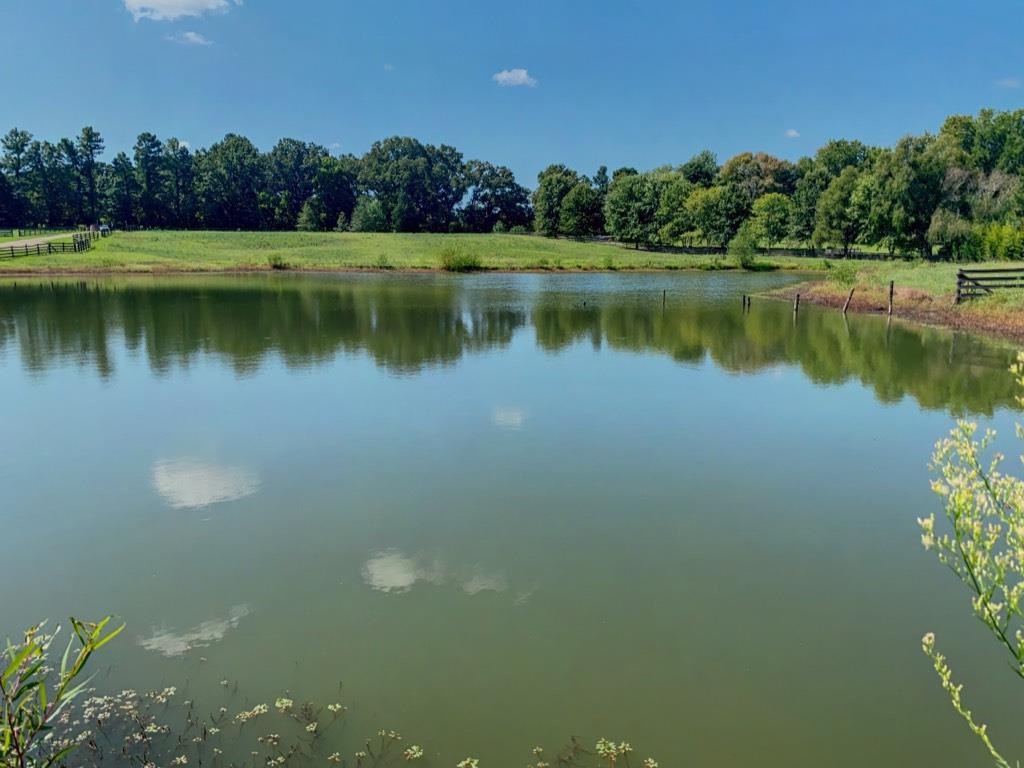 10122 Moose Road Millington, TN 38053 - Photo 22 of 23