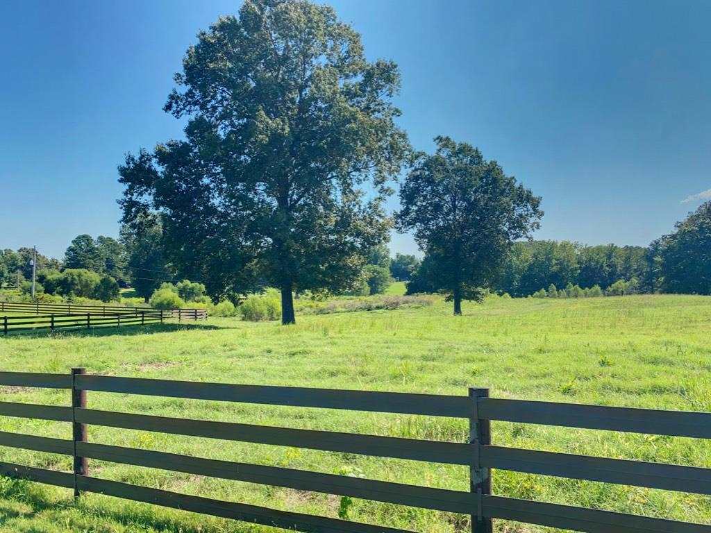 10122 Moose Road Millington, TN 38053 - Photo 4 of 23