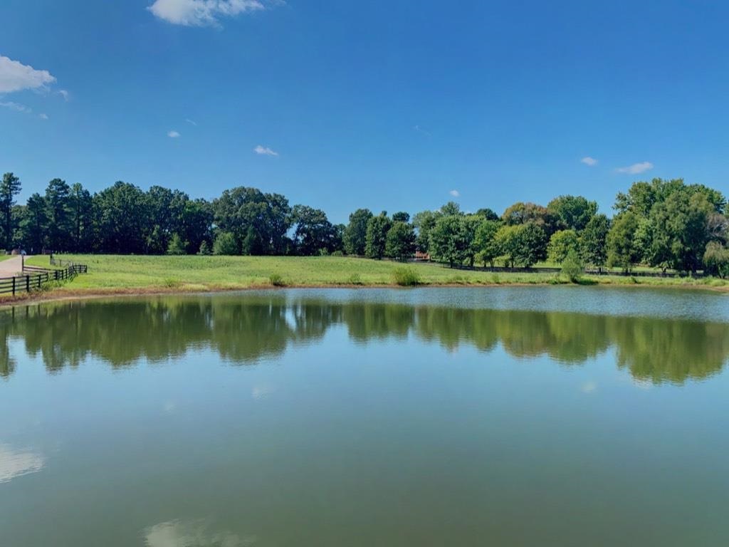 10122 Moose Road Millington, TN 38053 - Photo 5 of 23