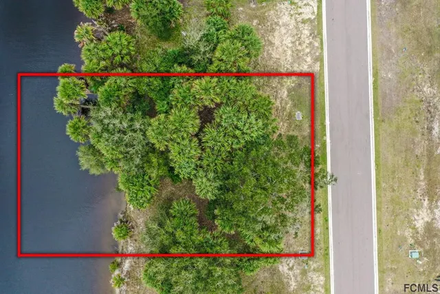 a view of a flower in a garden