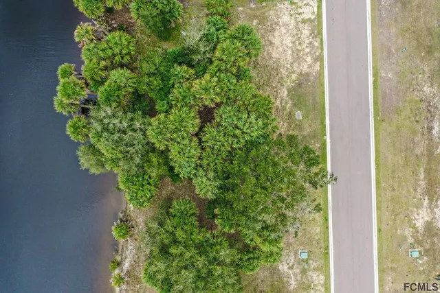 a close up of a plant in a garden