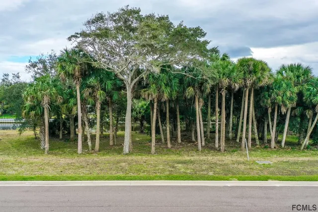 a view of a park with large trees