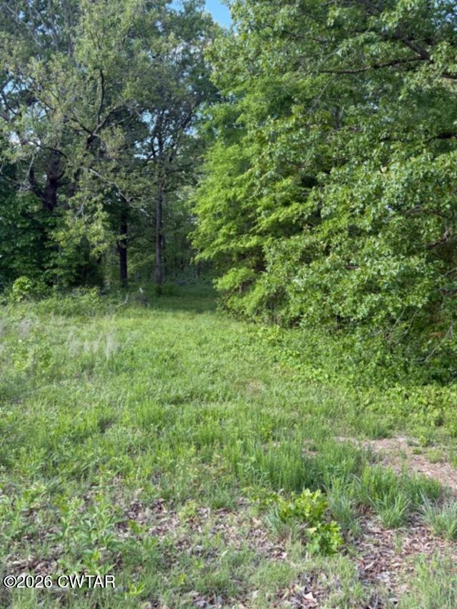 0 McBride Cemetery Road Sardis, TN 38371 - Photo 34 of 41 thumbnail (8