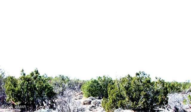3894 Valley Road Snowflake, AZ 85937 - Photo 1 of 1
