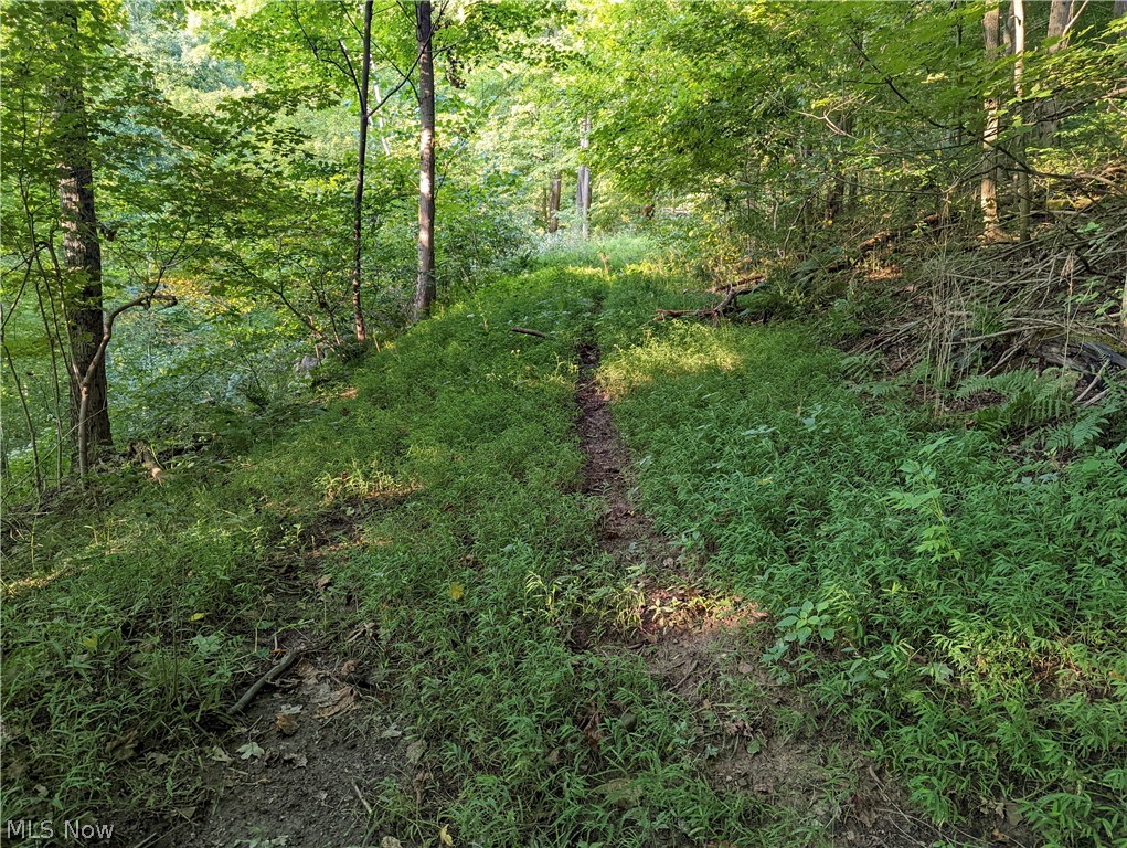 Wegee Road Shadyside, OH 43947 - Photo 7 of 16