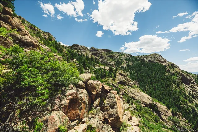 a view of a tree with a yard