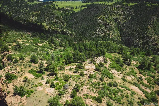 a view of a garden with plants