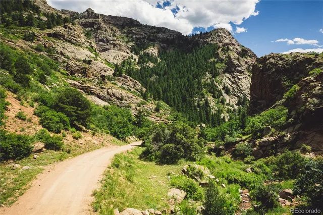 a view of a garden with plants