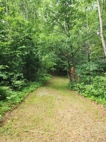 6565 Lynch Bridge Road Siren, WI 54872 - Photo 25 of 60