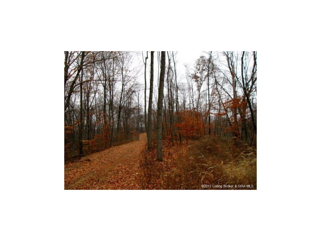 0 North McKinley Road Campbellsburg, IN 47108 - Photo 2 of 13 Gallery Image 2