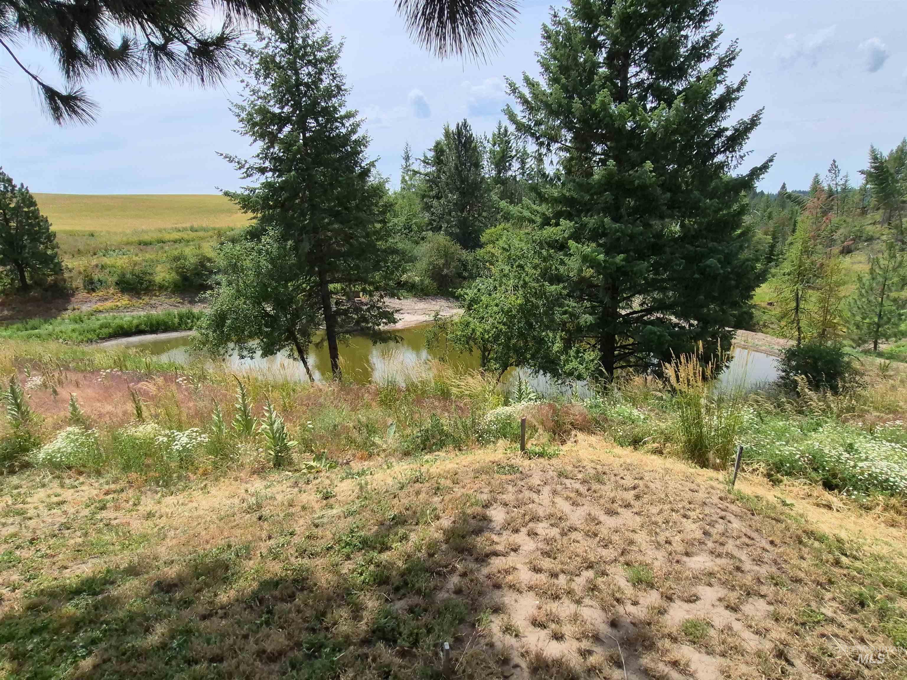1044 Clemenhagen Road Kendrick, ID 83537 - Photo 38 of 49