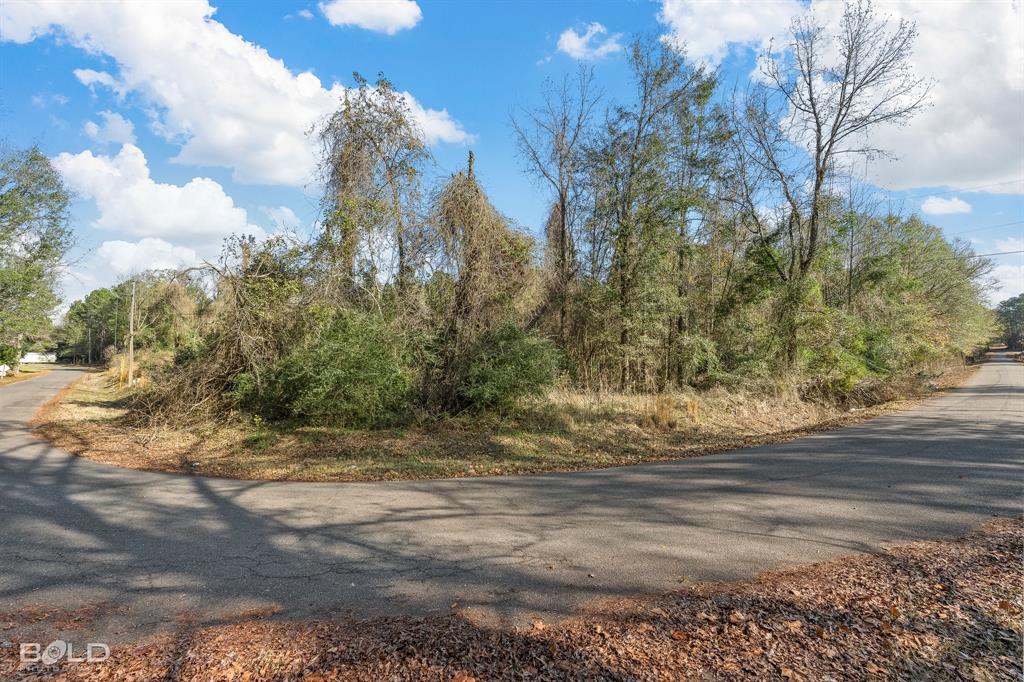 Lot 6 Mockingbird Lane Plain Dealing, LA 71064 - Photo 5 of 9 a view of dirt yard with large trees