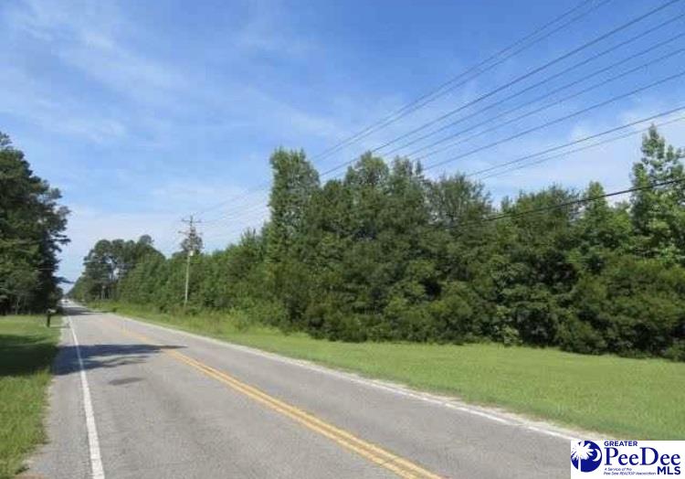 Tbd West Tbd W John Paul Jones Road Effingham, SC 29541 - Photo 1 of 1 Gallery Image 1