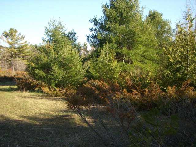 Lot 2 County Road Fish Creek, WI 54212 - Photo 1 of 1