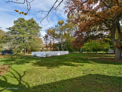 a view of a park with large trees