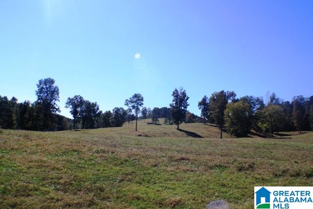 1785 Nunnally Lake Road Ohatchee, AL 36271 - Photo 37 of 50
