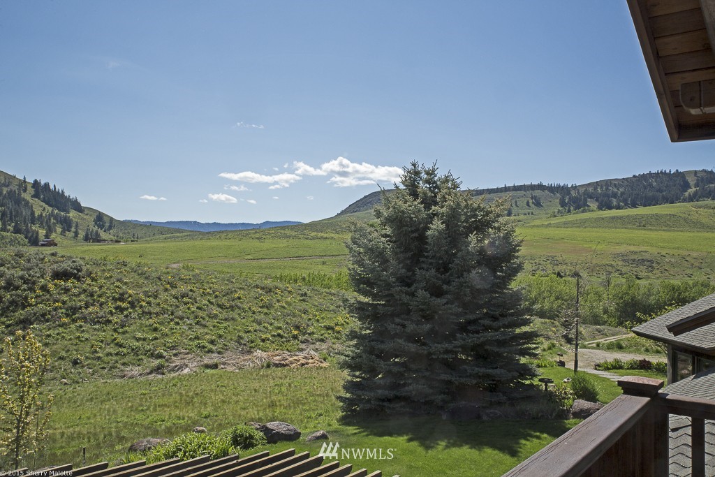348 Rendezvous Road Winthrop, WA 98862 - Photo 24 of 25 Gallery Image 24