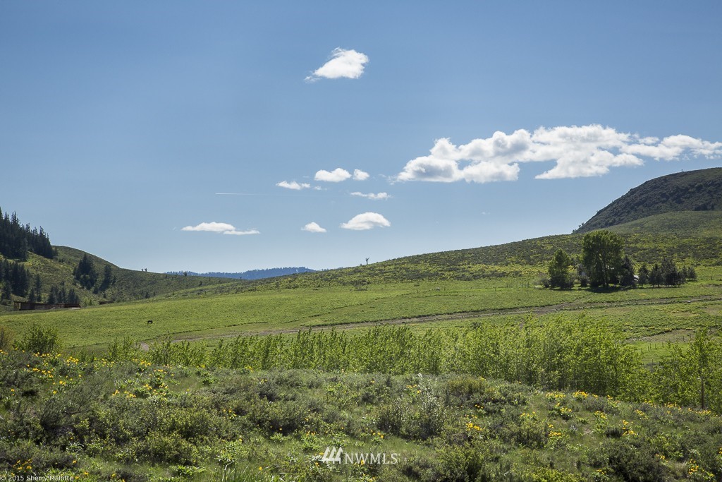 348 Rendezvous Road Winthrop, WA 98862 - Photo 25 of 25 Gallery Image 25