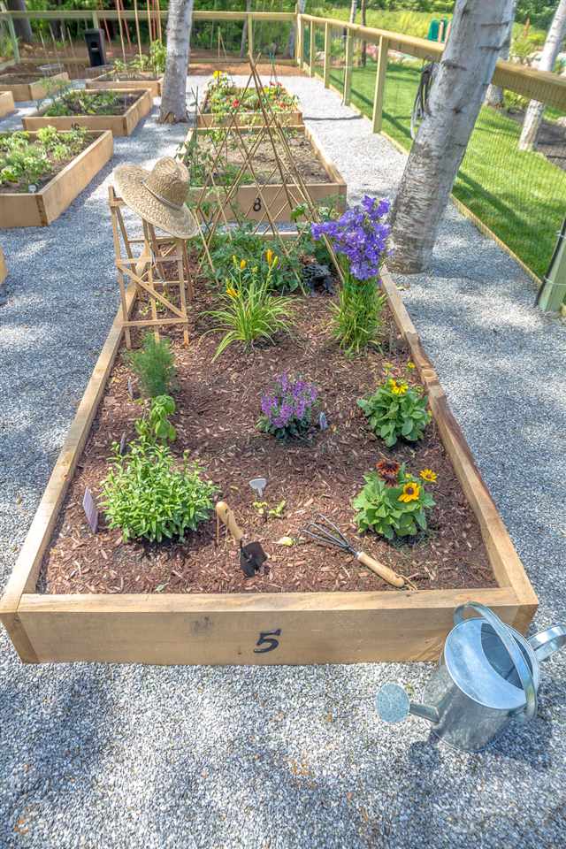 38 Commander's Helm, Unit 86 Laconia, NH 03246 - Photo 8 of 17