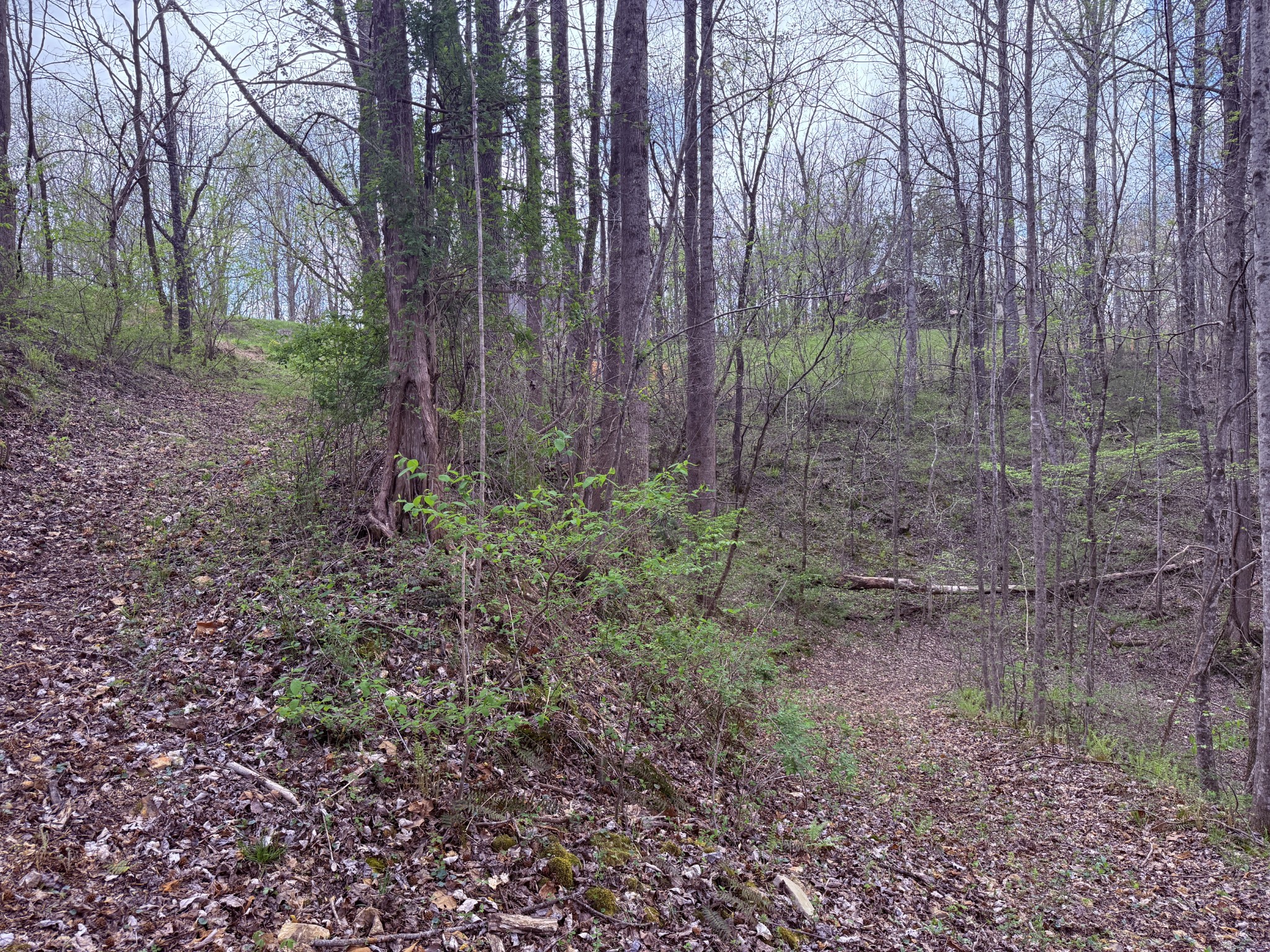 935 Sugar Tree Knob Road Liberty, TN 37095 - Photo 36 of 63 Gallery Image 36