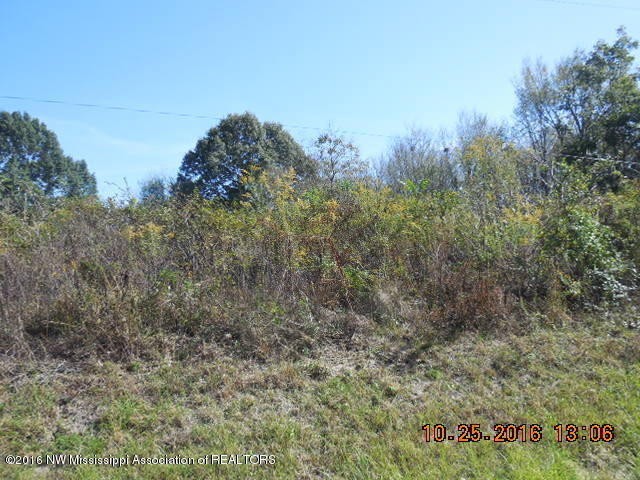 5 Sycamore Road Coldwater, MS 38618 - Photo 3 of 3 DSCN1404