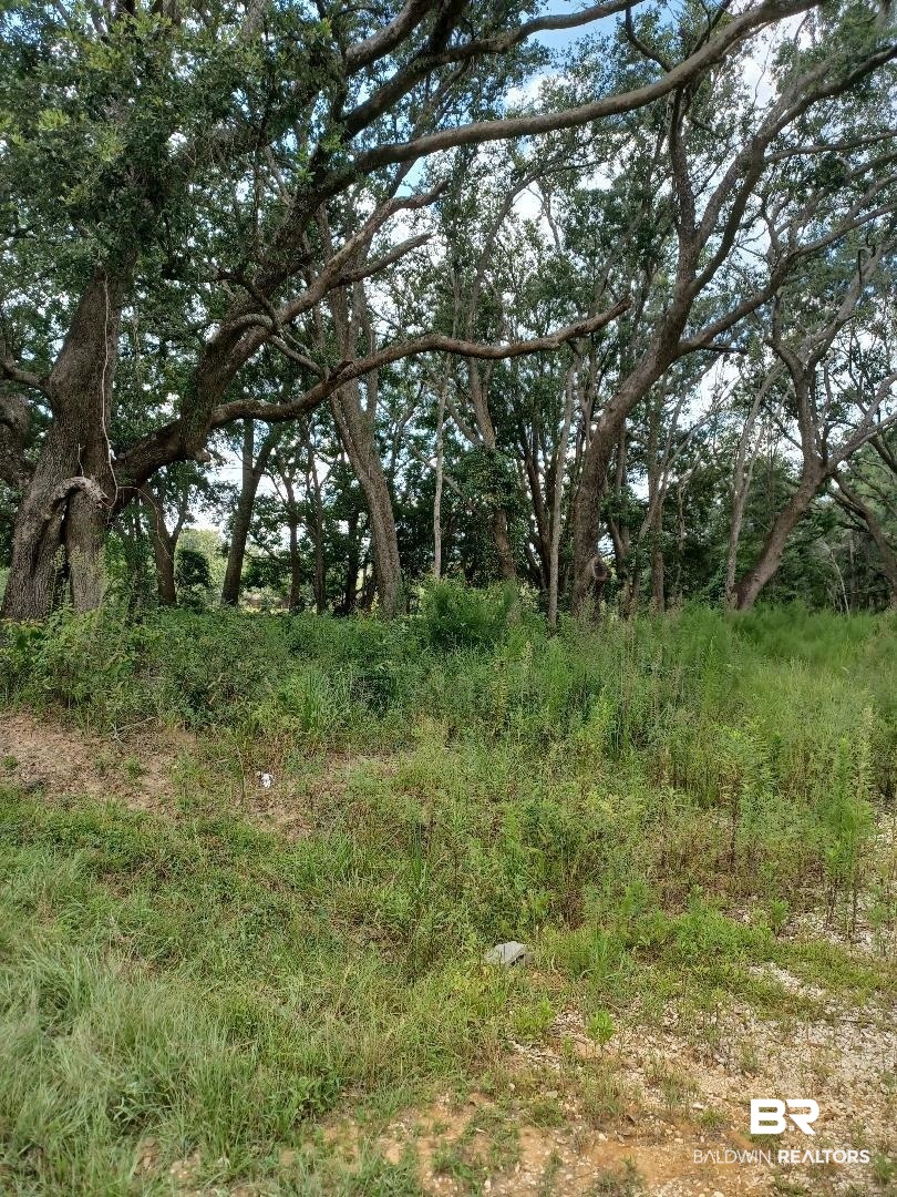 23281 Hill Road Silverhill, AL 36576 - Photo 12 of 13