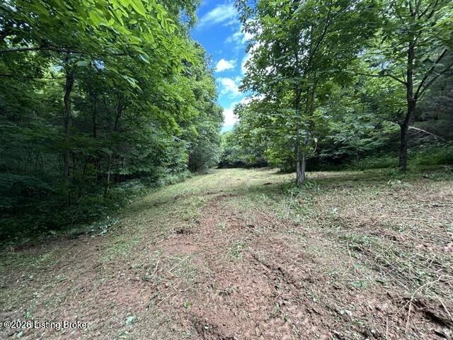 975 Long Run Road Springfield, KY 40069 - Photo 54 of 65 IMG_5596