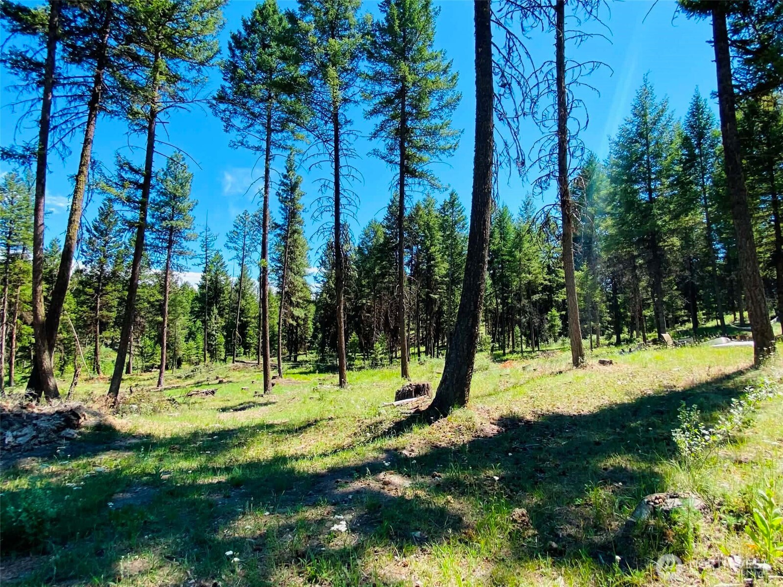 116 Pine Chee Road Oroville, WA 98844 - Photo 15 of 19 Gallery Image 15