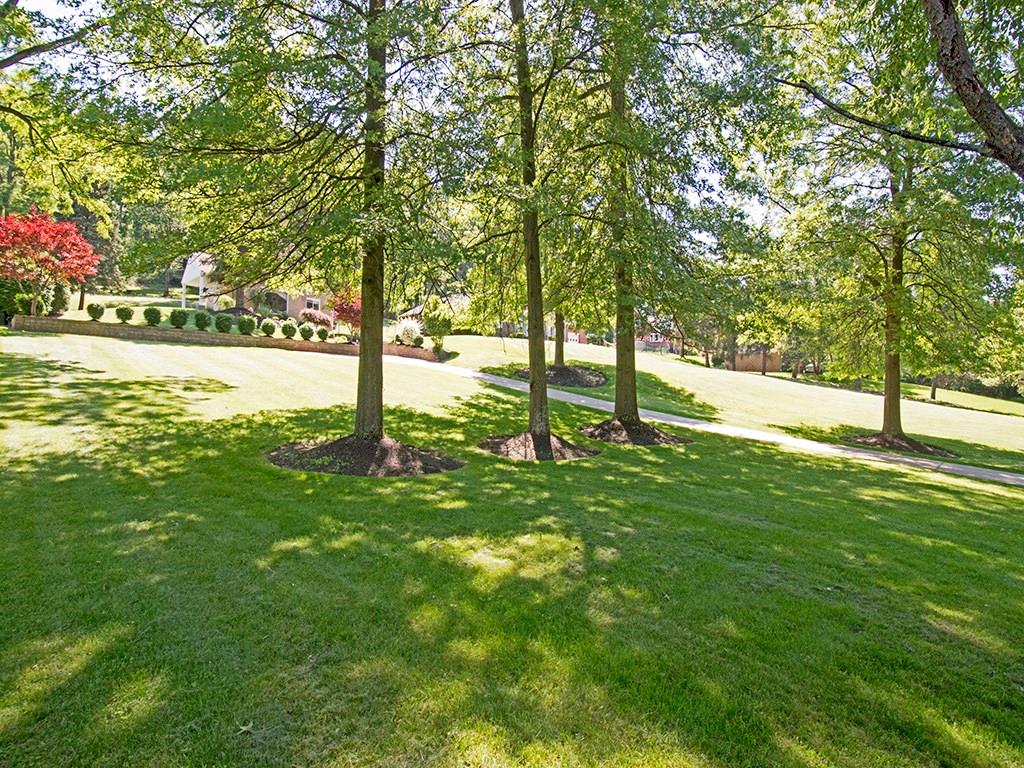 923 McNeilly Road Mt. Lebanon, PA 15226 - Photo 18 of 21 Gallery Image 18