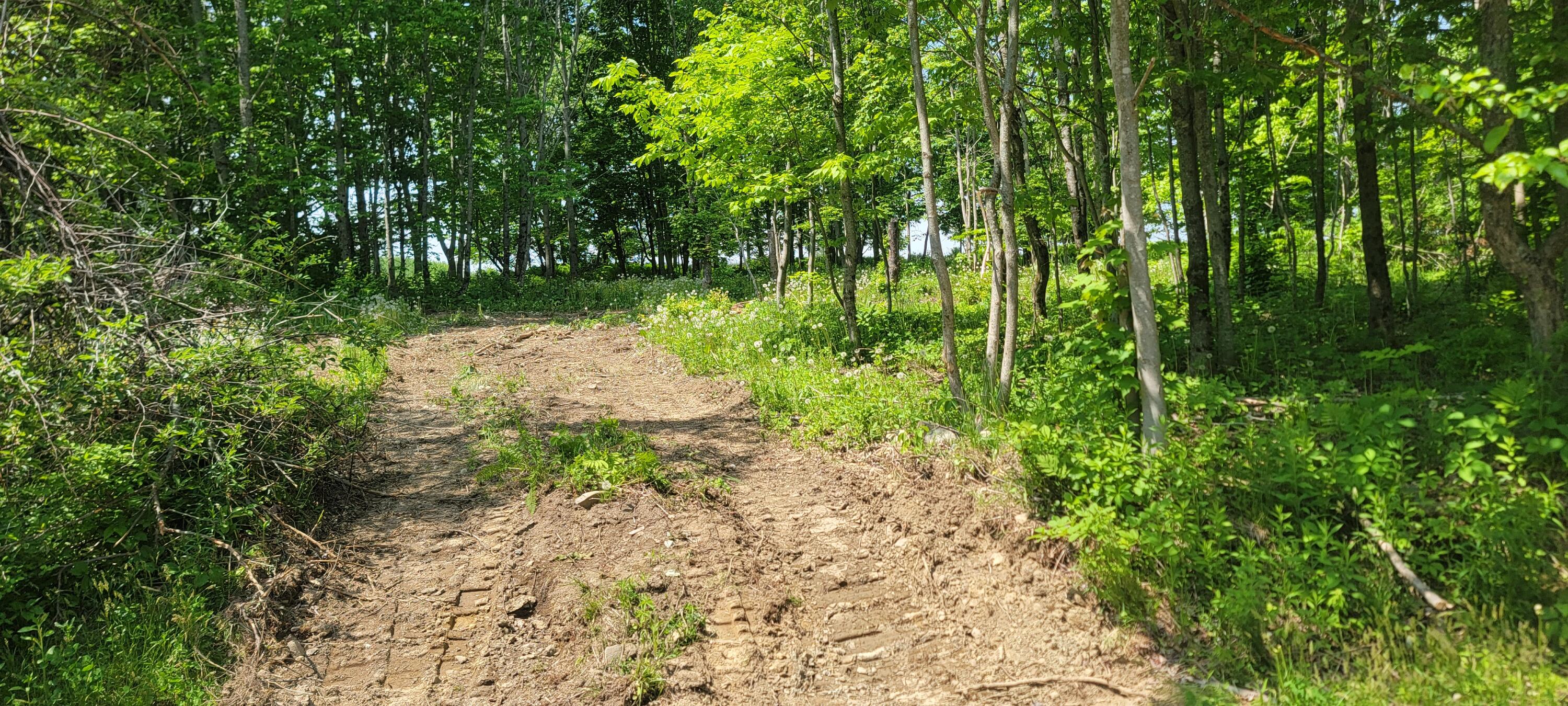 288 Ham Hill Road Cambridge, ME 04923 - Photo 6 of 6 1000013738