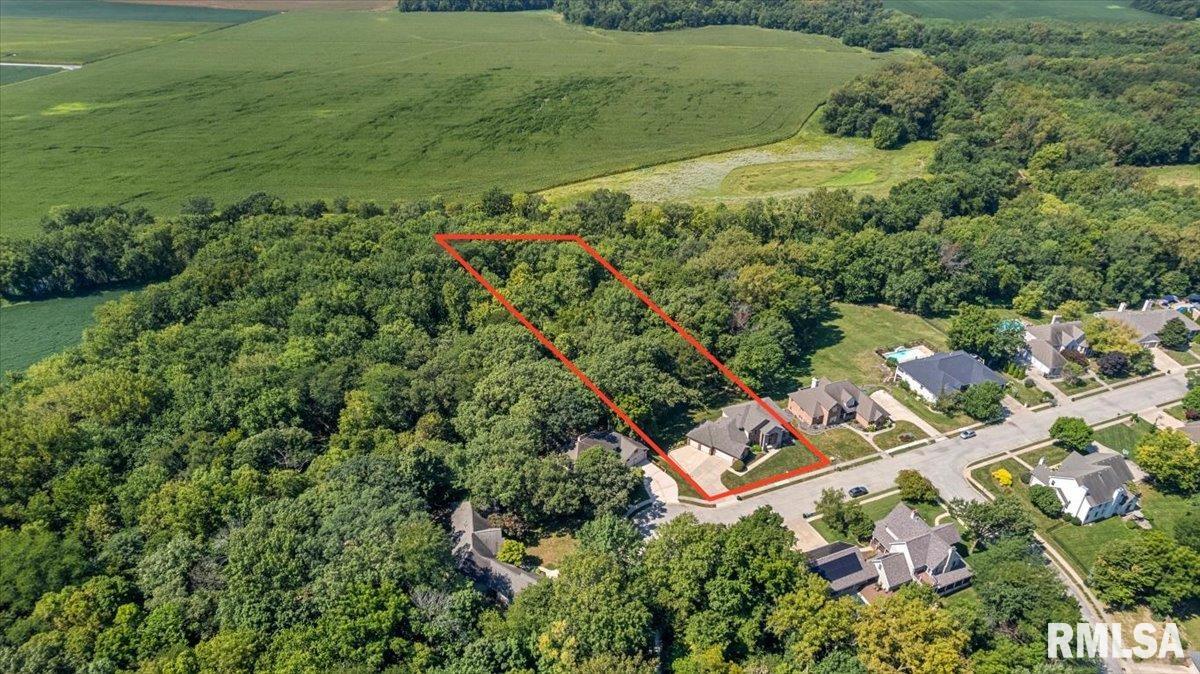 47 Woodland Trail Rochester, IL 62563 - Photo 78 of 81 Gallery Image 78