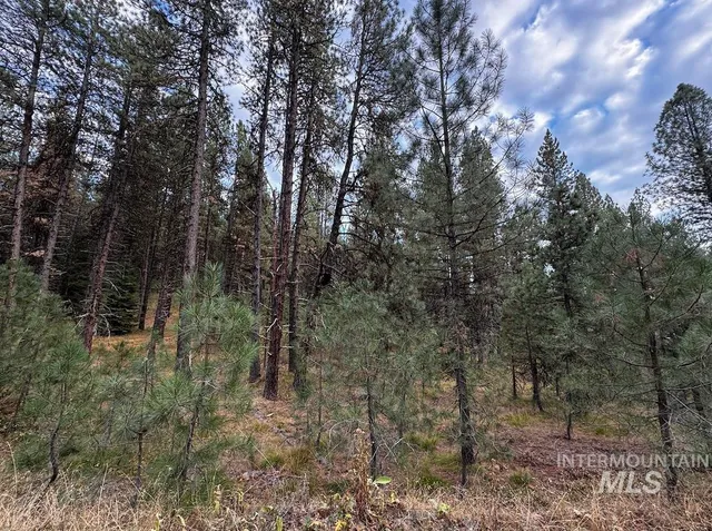 $255,000 | Lot 26 Meadow Drive, New Meadows, ID 83654