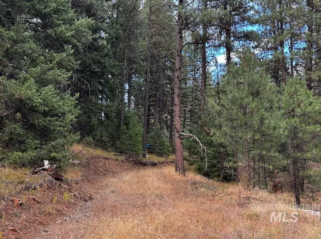 $255,000 | Lot 26 Meadow Drive, New Meadows, ID 83654